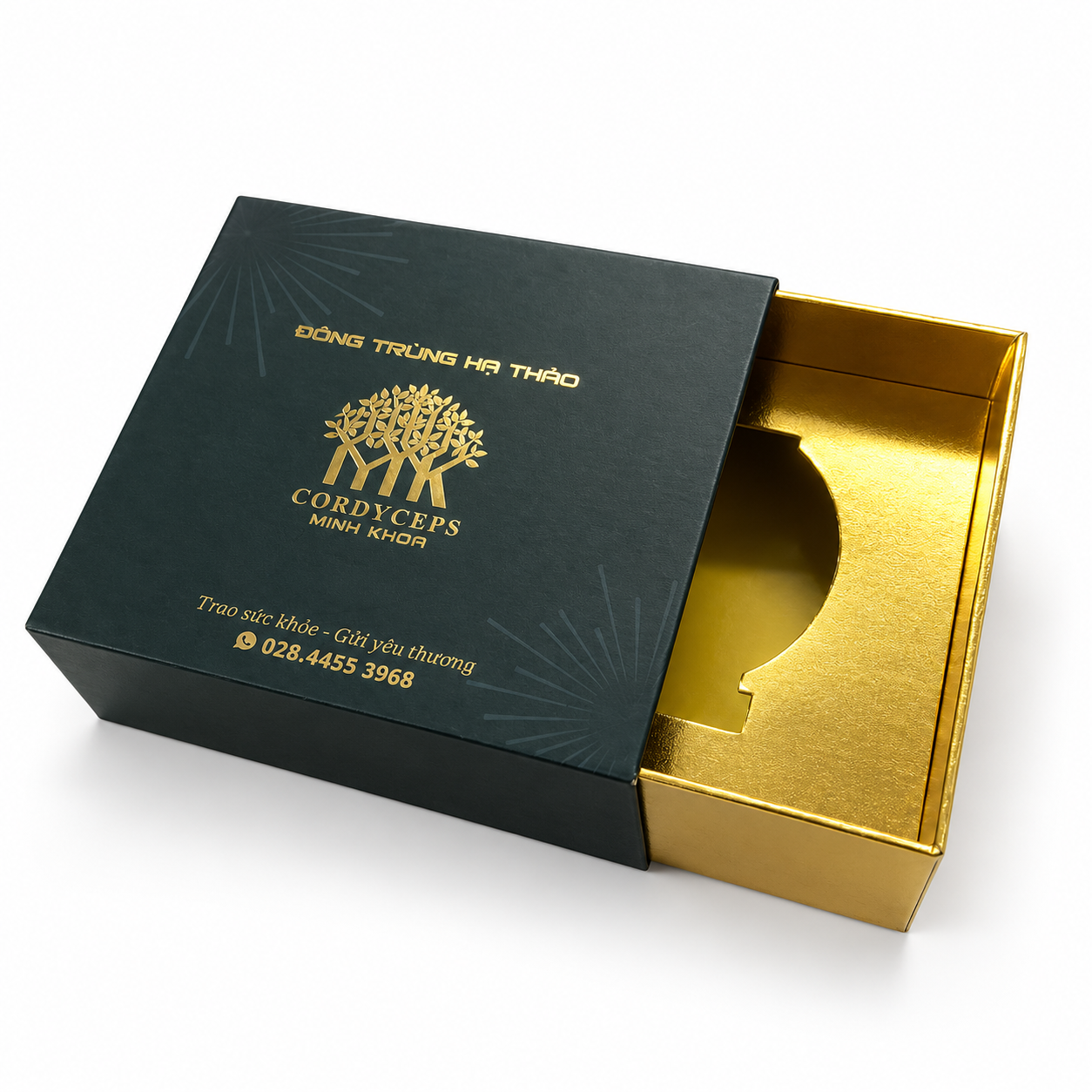HỘP RÚT THỰC PHẨM – QUÀ TẾT CAO CẤP